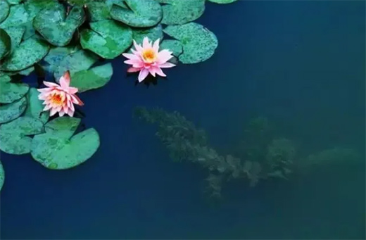 ��(qu��n)�_(d��)ˮ����� | ��ȥ�������Ҋ���������ʵ�����