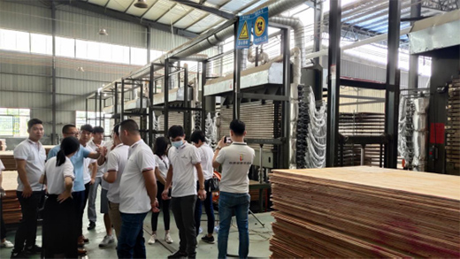 �����ٰl(f��)չ �����M���T��ǰ���V�����a(ch��n)���،W(xu��)��(x��)�{(di��o)��