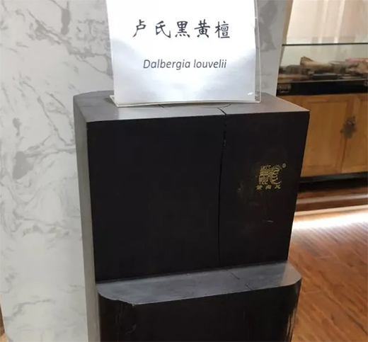 ���ϼtľ������t��֦����ľ�ĳ���tɫ����t��֦һ�㎧���ζ