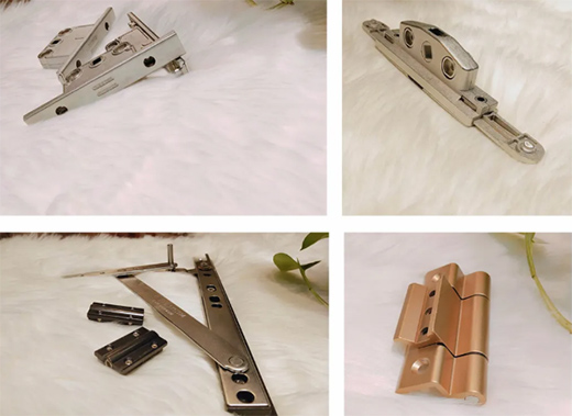 ������(BERNI)������ľ�����չ��δ��