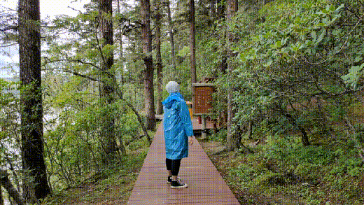 ��ħצ Mini MX��(w��n)���������_���p�w򞡤�S�����淨