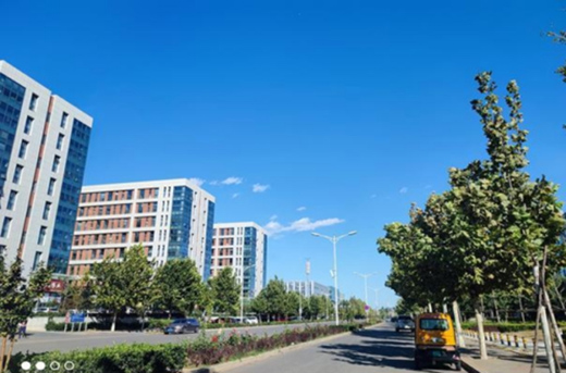 С��10����o��挢���C������DXOMARK�汼������]����!