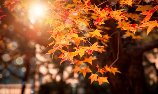 ������yʮ���b������ ��¹ܘI(y��)현�(sh��)����!