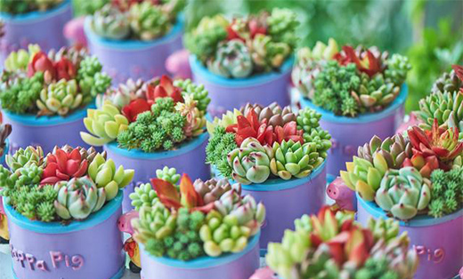 �������Ђ�ꖹⷿ��һ����һ�K��һ��ꖹ���͵�ø��������e