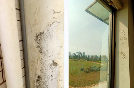 ���쉦�������������Ї�ʮ��Ϳ��Ʒ�ơ����Ƴ���_�N�l(w��i)������