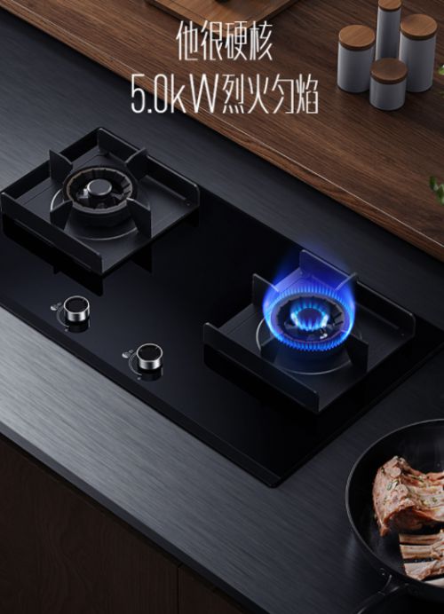 ���������(d��ng)ȼ!�A��5.0kWȼ�������㡰��ʹ�N�Ǽ�ʢ��