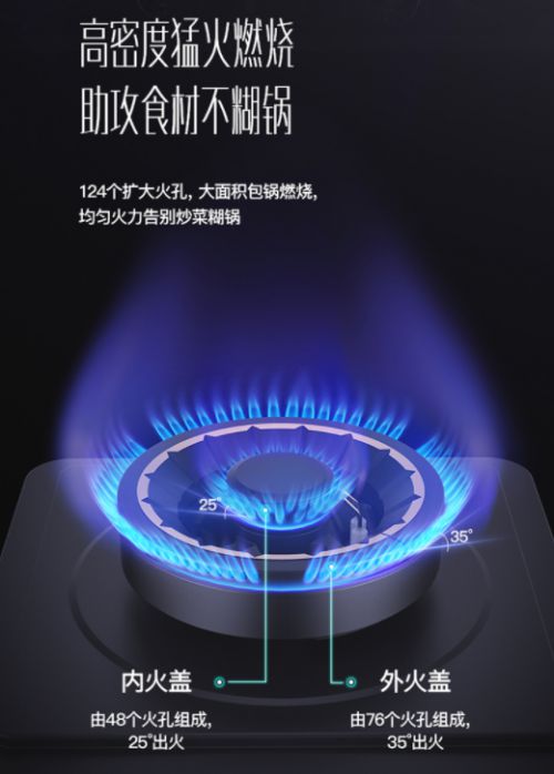 ���������(d��ng)ȼ!�A��5.0kWȼ�������㡰��ʹ�N�Ǽ�ʢ��