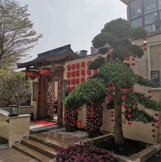 �V���X�I(y��)2021�꣺�{���²��ԣ��I�����L��!