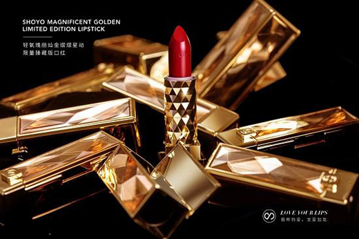 ȫ�������װl(f��) | SHOYO�p��������ذ�ڼtҫĿ����