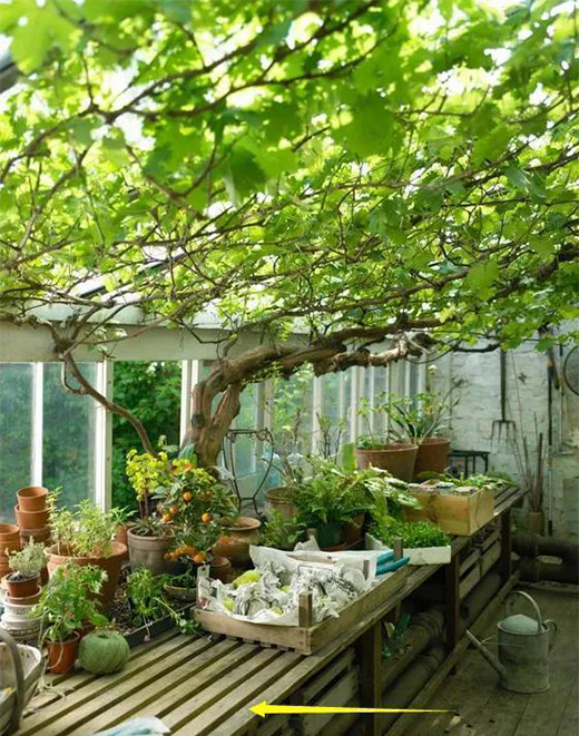 ͥԺ�������O(sh��)Ӌ(j��)����ꖹⷿ�ÿ�߀�ԃr�ȸ�!