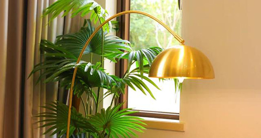 ���ИI(y��)�l(f��)չڅ�������x��Ӱ��ث@��ȫ�~���ȫ���N����һ��!