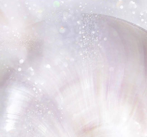 ѩ����ح������s����ğ��ס��y�����ѵǈ�(ch��ng)