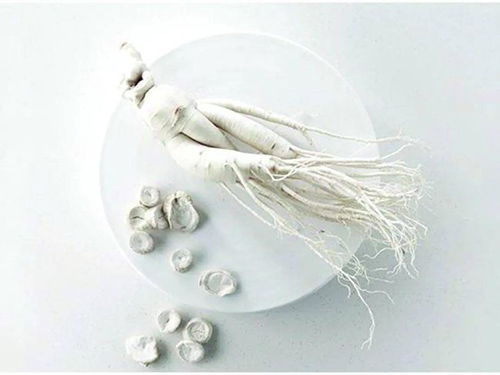 ѩ����ح������s����ğ��ס��y�����ѵǈ�(ch��ng)