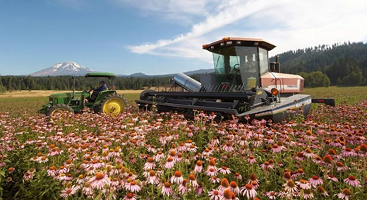 315���M(f��i)�ߙ�(qu��n)�����������������С�