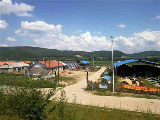 �����������Sţ�� ���콡���ʳ���L(f��ng)��