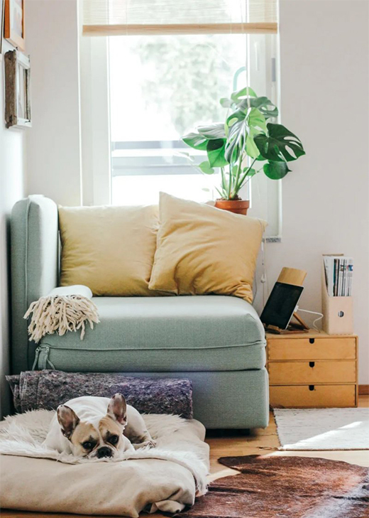 �����o�ҡ� | �ļ��������Դ����o������