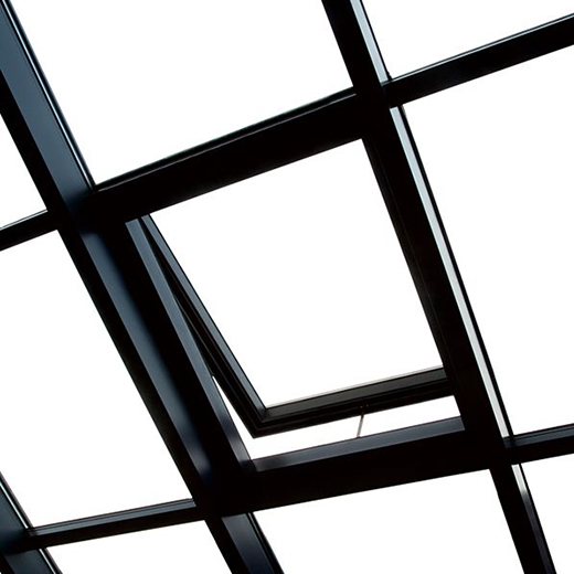 ꖹⷿح��ԡꖹ�����������Ȼ֮�g