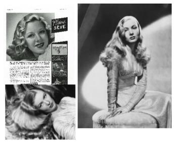 ����Ʒ��FORVIL��ɯɭ�������I(l��ng)���o(h��)�wʽ�o(h��)�l(f��)���³���