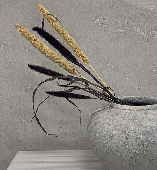 ����ؐ�� | �XһĨ��ɫ�����[���¸��{