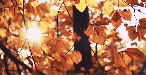 �@�ӵĄe���(y��ng)�ⷿ���M���㌦(du��)������������