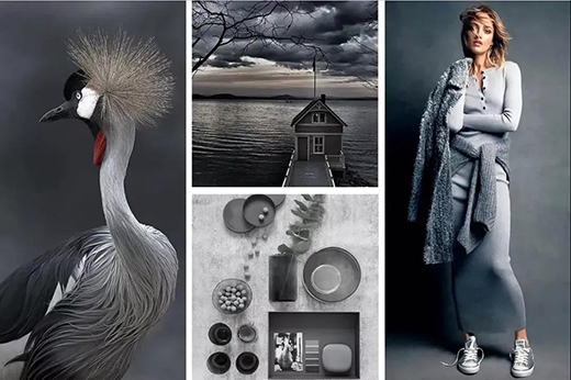 �������T�I(y��)ح�ʬF(xi��n)��������p�ļҾ������W(xu��)