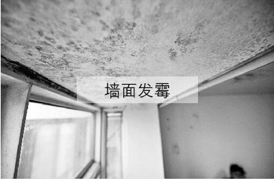 ��(gu��)����(d��ng)?sh��)�����ʿ���졪����ʿSOK�����Ʒ�|(zh��)���bͿ��