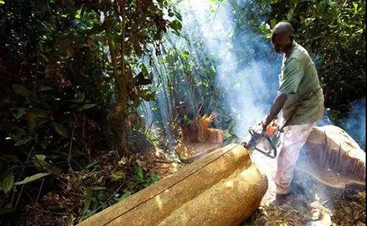 ��t��֦�Ҿ������M(j��n)�롰���ƻ����r(sh��)��