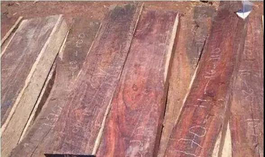 ��t��֦�Ҿ������M(j��n)�롰���ƻ����r(sh��)��