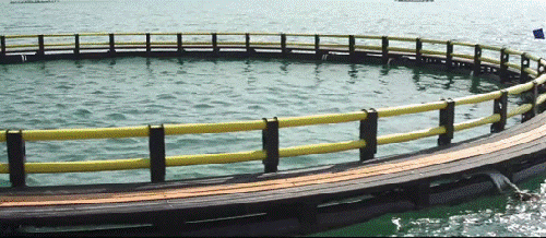 聚焦鄉(xiāng)村振興戰(zhàn)略，中國聯(lián)塑積極發(fā)揮管道巨頭作用