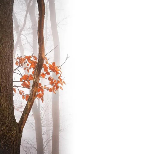 �����f�� | ��(y��u)���ذ���Ʒζ�o�k����!