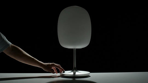 �P�c��Щ������Ȼ�⡱�ľW(w��ng)�t��������ֹ�ֵ��ô����!