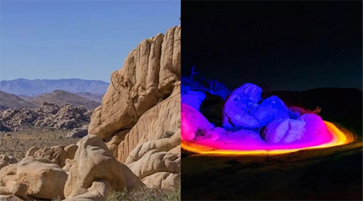 �P�c��Щ������Ȼ�⡱�ľW(w��ng)�t��������ֹ�ֵ��ô����!