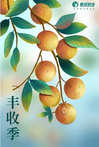 �ǝ��ܘI(y��)�������ǂ��ի@�ļ���(ji��)