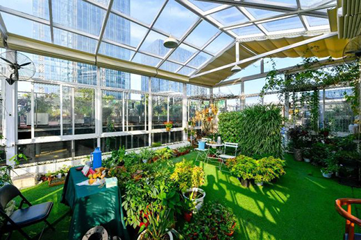 �����(l��i)����ͥԺ��һ��(g��)�(y��ng)�ⷿ��̫����!