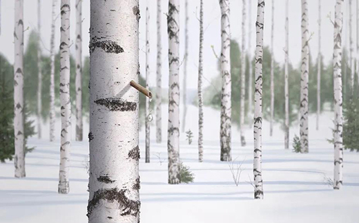 �����M�A!�B(y��ng)�����M�����w���w������