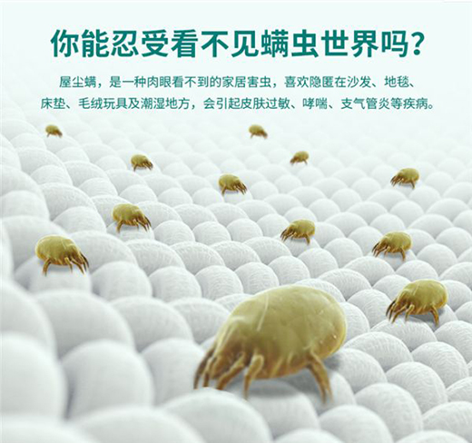 ��Ճ������������F�ݚ����x(ch��ng)С�C��߀�㡰�](m��i)��������