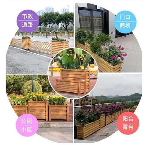 �o�����޵ġ�ȫ�X�Ҿӡ��ļ�ͥ����I(y��)�c�����b�޶��m��