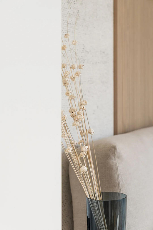 ���s�L�ă���һ�d���P����ľ���������̫�з���!