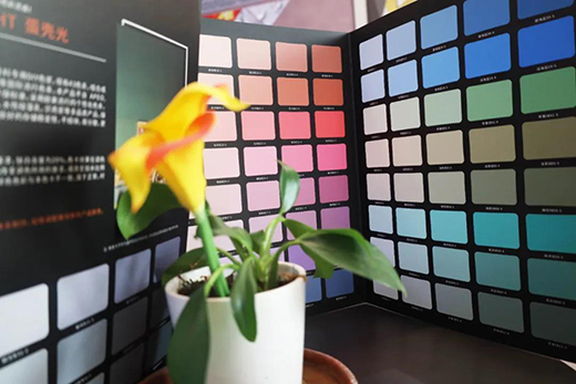 �ۿ�˹ح������215ɫ��ȫ������