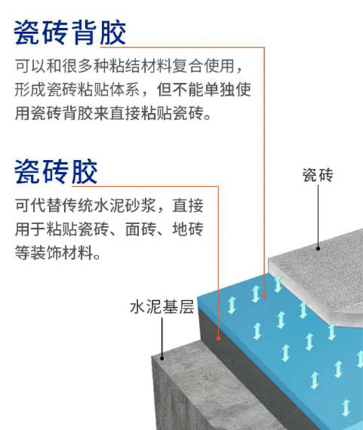瓷磚膠&瓷磚背膠，一字之差，大有不同