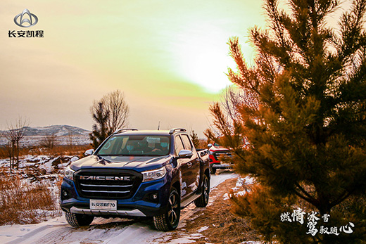 ��ȼ���ѩ �{�S�S�ġ��L(zh��ng)���P��F70��푱�ѩ�P��