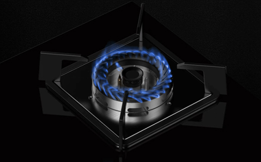 ȼ����ʮ��Ʒ��_�����x��һ��õ�ȼ����