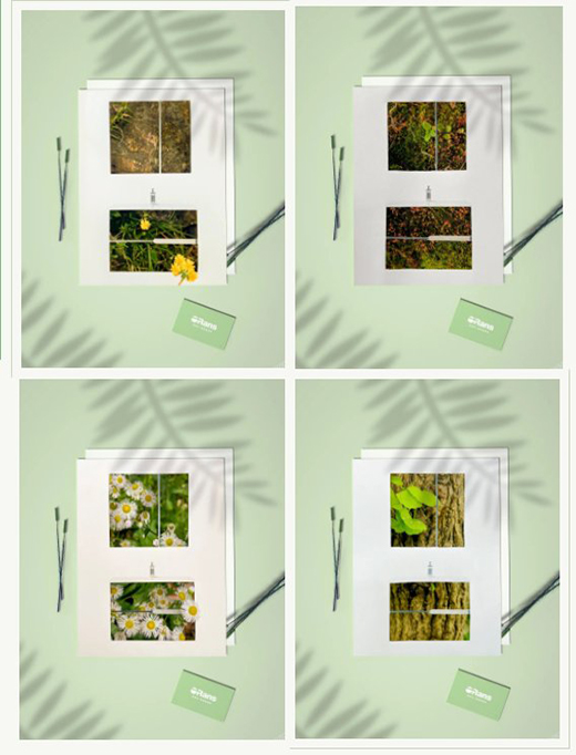 �W·ɯ�l(w��i)������ס���յĽk����ӭ��ʢ�ĵķ��A