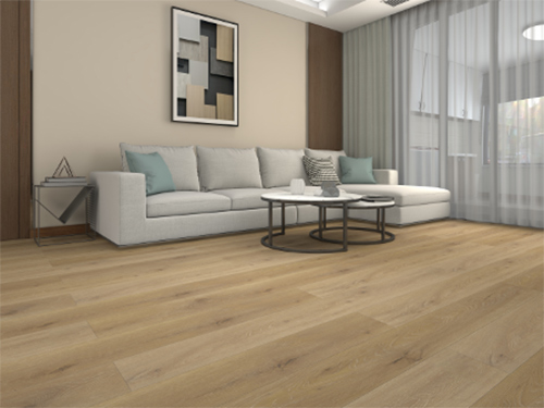 �����С��ҡ�!�鷿䁺����ѵذ����ͽY(ji��)���