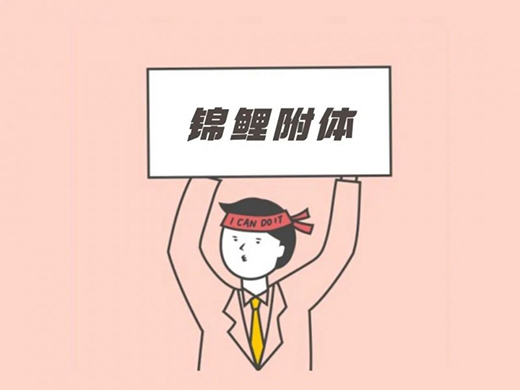 �����l(w��i)������Щ�����\���w�|(zh��)?���������