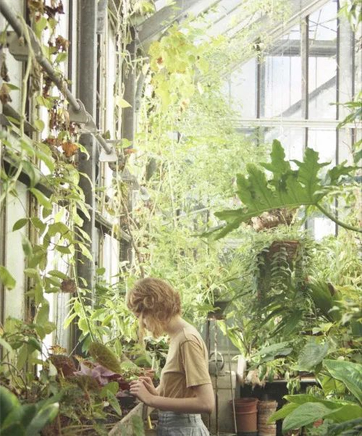 陽光房，花園生活的全新選項