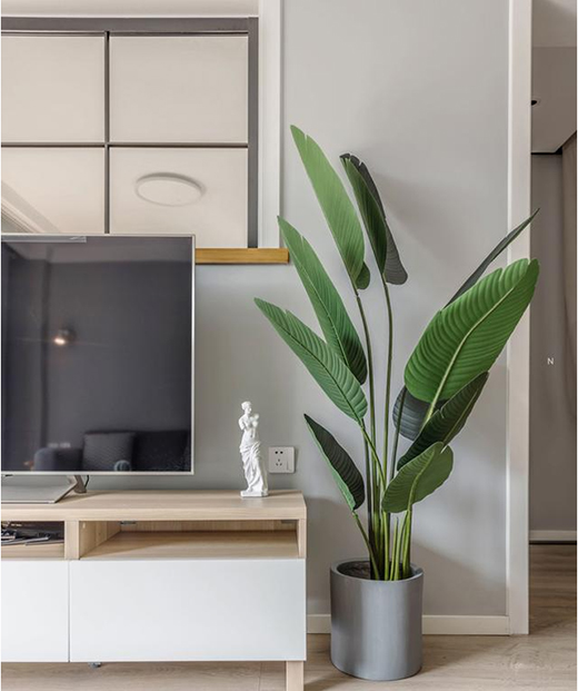 �X�������X�Ҿ�-ľ�ϵ�����|���������r(sh��)��㟒ɫ��