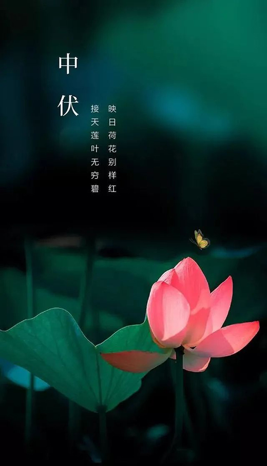 �����ļ��������Žo�㎧�����m����ԡ�w�