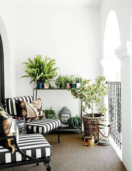 ȫ�ݶ�������Щ�������x������!