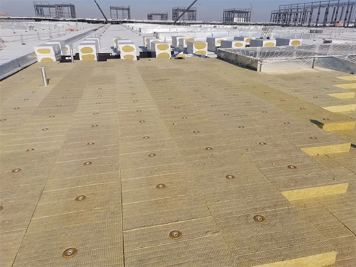 �|�����y�֊W��һ������̽�Gɫδ��